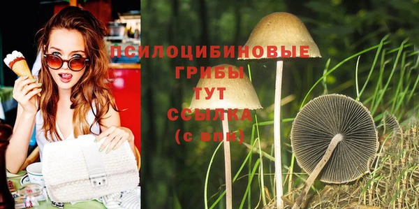 Альфа ПВП Вязьма