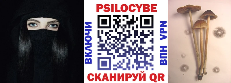 где купить наркоту  Мостовской  ссылка на мегу ONION  Псилоцибиновые грибы мицелий 